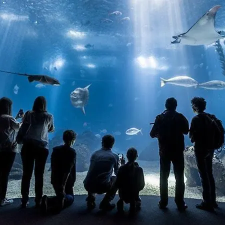 Modern Flat דירה